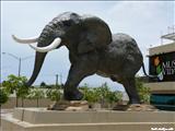 Museo de Vida Silvestre - SAN JUAN